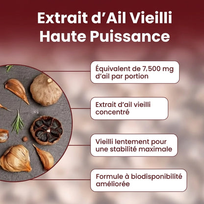 Concentré Érectile à l'Ail Vieilli